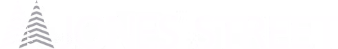 b95bc2_a12e52321029450cbe9e50a5bc657519~mv2